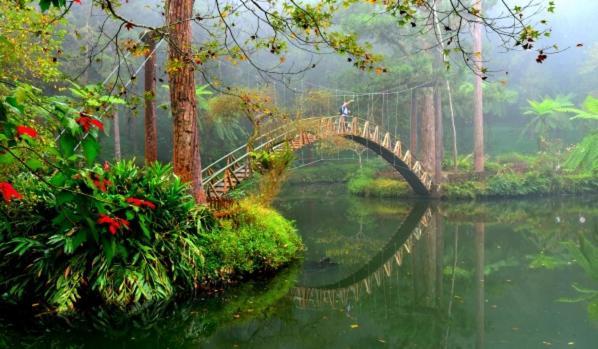 鹿谷乡晨煦行旅公寓 外观 照片